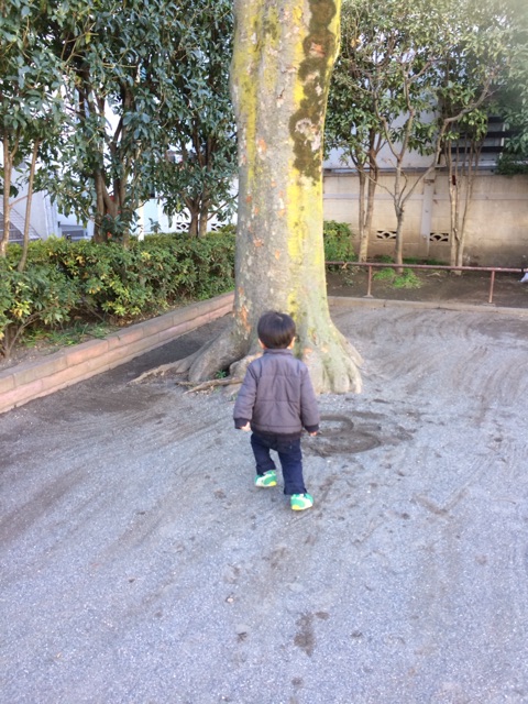 {2B68B01B-3B40-462B-9BFB-CA5F7B9CBF4B}