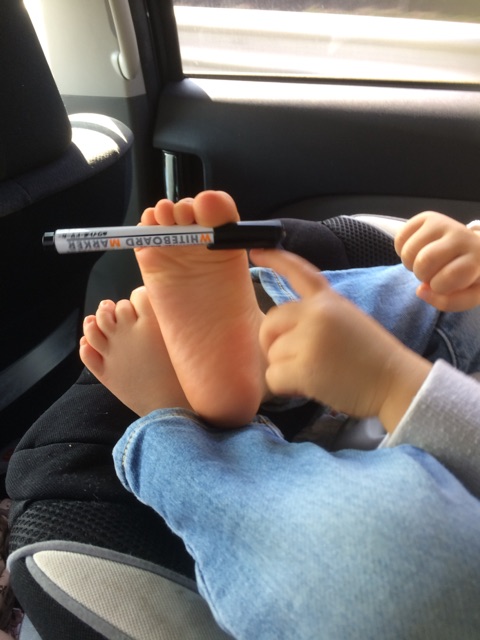 {F7106C2F-5745-4D70-961B-F1775A01D22F}